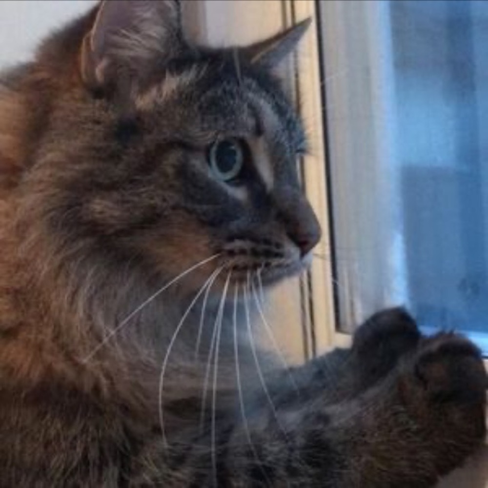 Meet your Posher, Mark